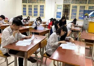 học sinh thpt nên học thêm gì